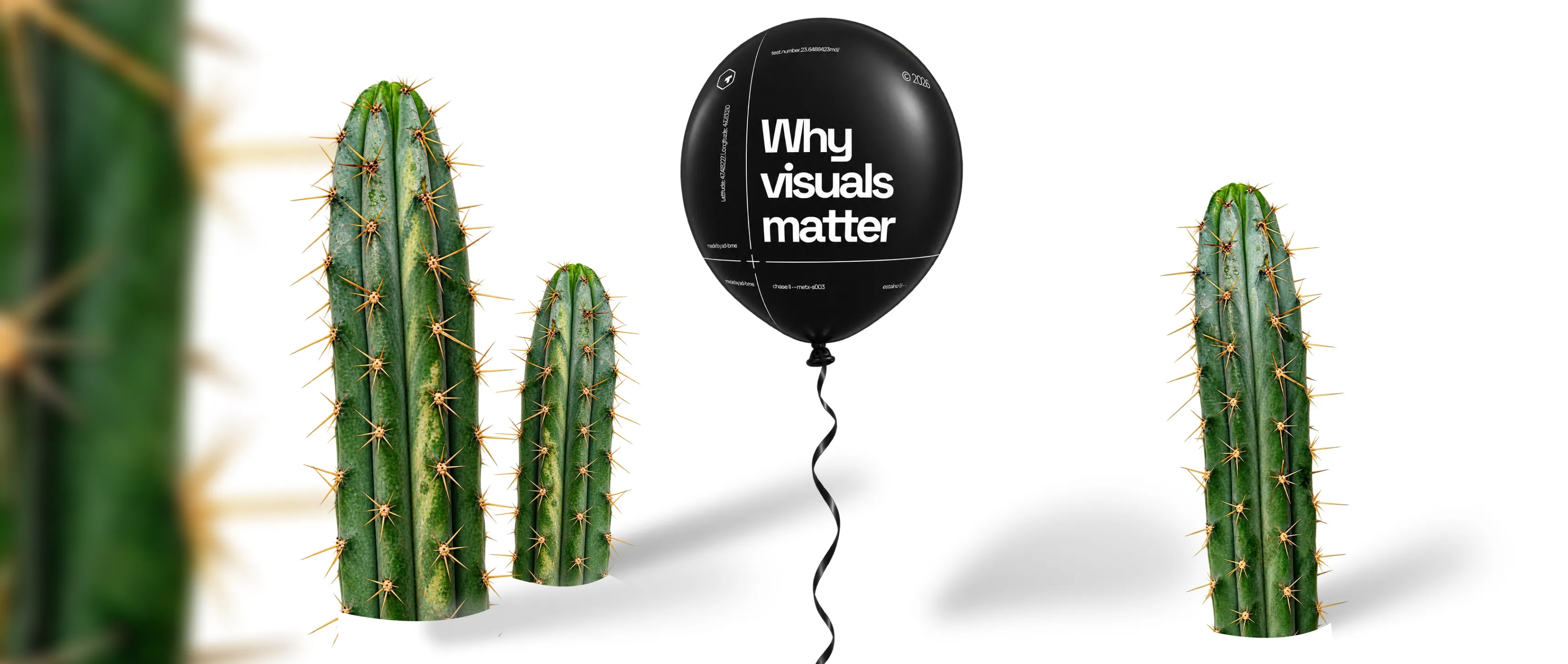Thaily Concept - Why Visuals Matter